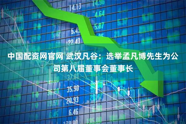中国配资网官网 武汉凡谷：选举孟凡博先生为公司第八届董事会董事长