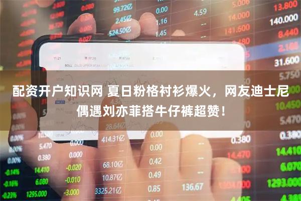 配资开户知识网 夏日粉格衬衫爆火，网友迪士尼偶遇刘亦菲搭牛仔裤超赞！